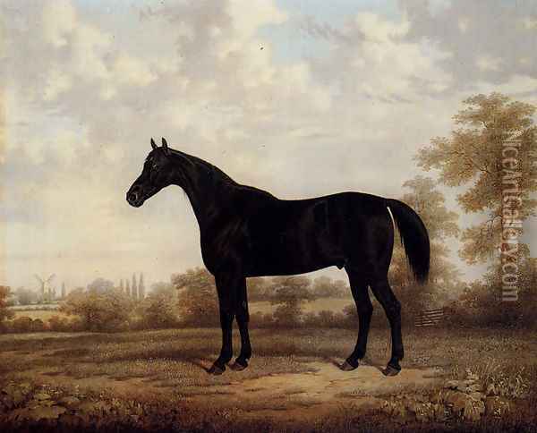 Dark Bay Hunter In A Wooded Landscape Oil Painting - E. Brown