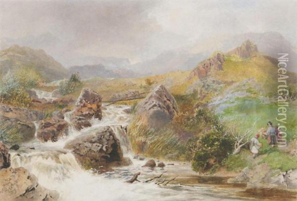 Moel Verna, Meirioneddshire, Northern Wales Oil Painting - William Hull
