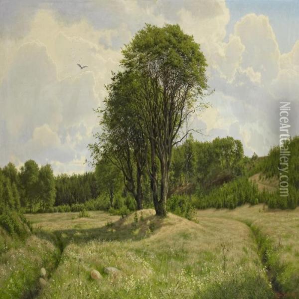A Forest Senery Oil Painting - Carl Milton Jensen