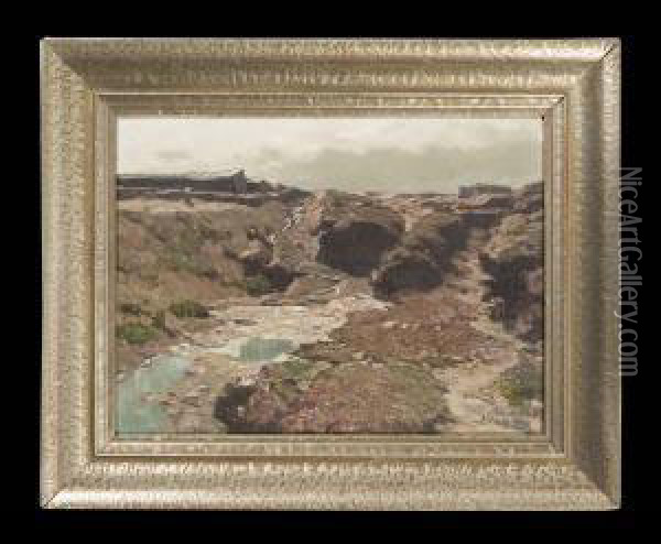 Aprilsonne Im Moor Oil Painting - Albert Stagura