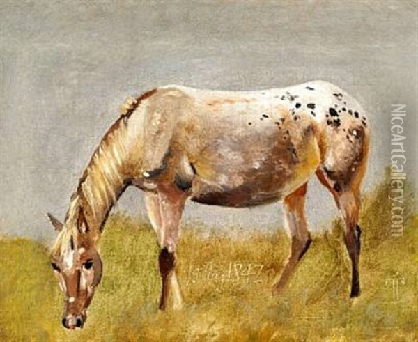 Studie Af En Knabstrupper-hest Oil Painting - Johan Thomas Lundbye