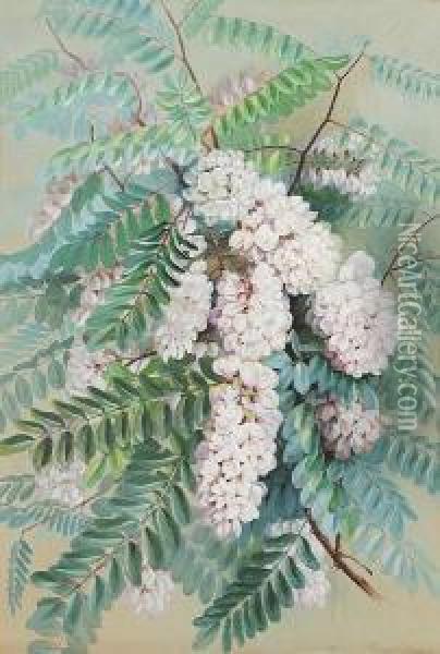 Clammy Locust; Sunflower Daisy; Golden Rod And Grasses; Flowering Plum (a Group Of Four) Oil Painting - Marian Ellis Rowan