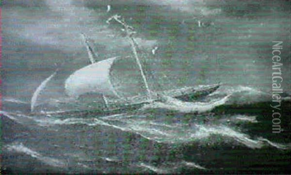 The Yacht 'pelican', C.h. Bill Esq Owner, R.spraggs Of      Bembridge Captain, Running The Skerki Channel....] Oil Painting - Antonio de Simone