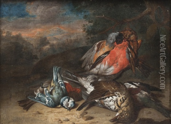 Nature Morte Aux Oiseaux Oil Painting - Philipp Ferdinand de Hamilton