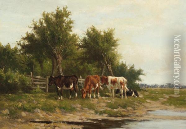 Grazing Cows By The Water's Edge Oil Painting - Herman Bogman