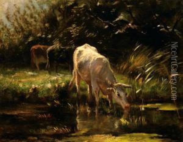 A Calf Drinking From A Pond Oil Painting - Willem Maris