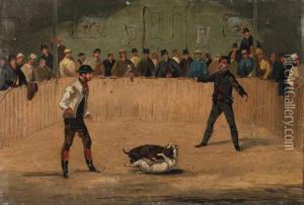 Bear Baiting; Dogs Fighting; Bull Baiting; And Pigeonshooting Oil Painting - Henry Thomas Alken