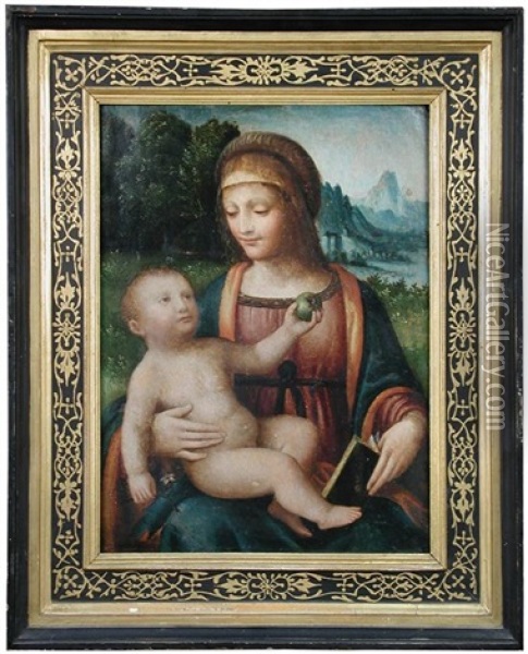 The Madonna And Child, With The Christ Child Holding An Apple And A Flower Oil Painting - Bernardino Luini