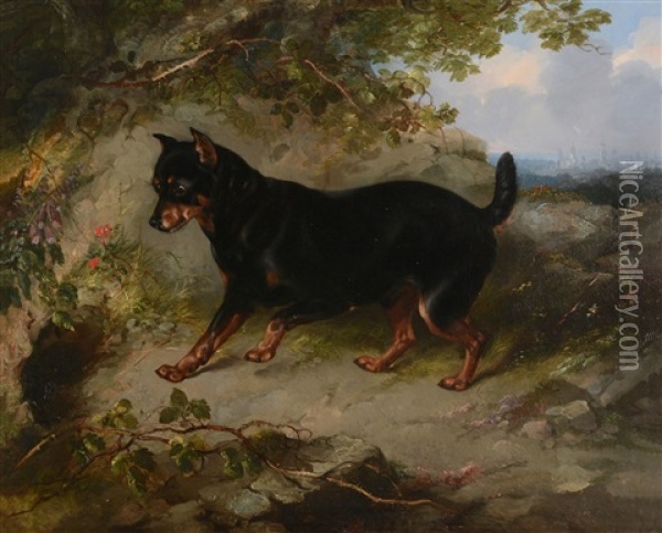Manchester Terrier Oil Painting - George Earl
