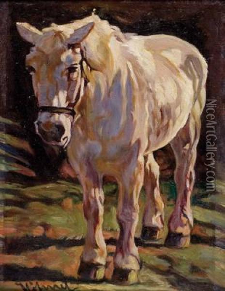 Pferd Oil Painting - Wilhelm Hohnel