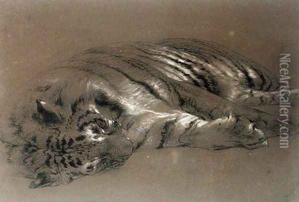 A Sleeping Tiger Oil Painting - William Huggins
