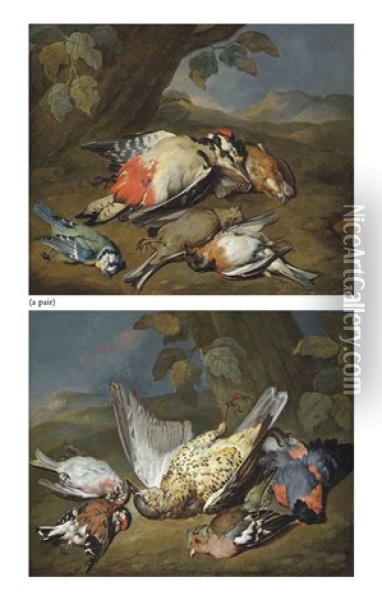 A Dead Ptarmigan, A Bullfinch, A Greenfinch And Other Birds, In A Wooded Clearing (+ A Dead Great Spotted Woodpecker, A Bluetit, A Bearded Tit And Other Birds, In A Wooded Clearing; 2 Works) Oil Painting - William Gowe Ferguson