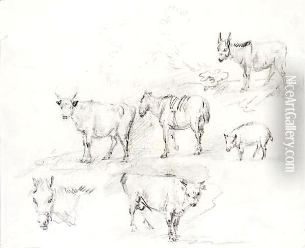 Study Of Horses, Cows, A Donkey And A Pig Oil Painting - Thomas Gainsborough