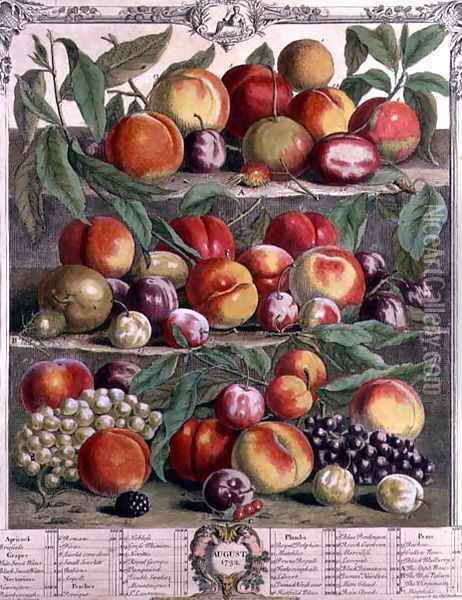 August, from 'Twelve Months of Fruits' Oil Painting - Pieter Casteels