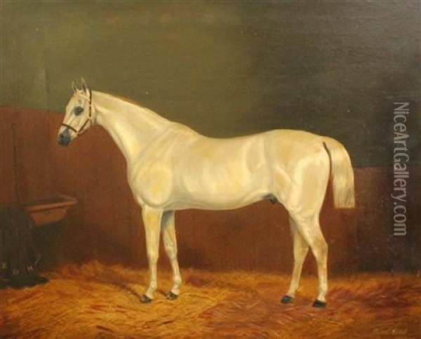White Horse In A Stable Oil Painting - Albert Clark