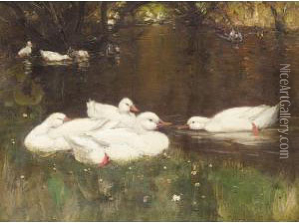 Duck On A Pond Oil Painting - Patrick Downie