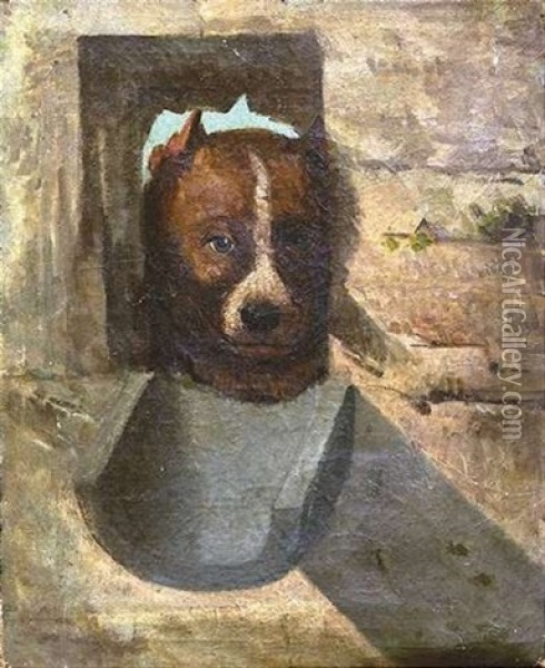 Aus Einer Maueroffnung Schaut Ein Hund Heraus Oil Painting - Giuseppe Palizzi