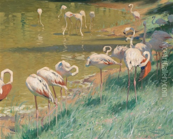 Flamingos Oil Painting - Wilhelm Friedrich Kuhnert