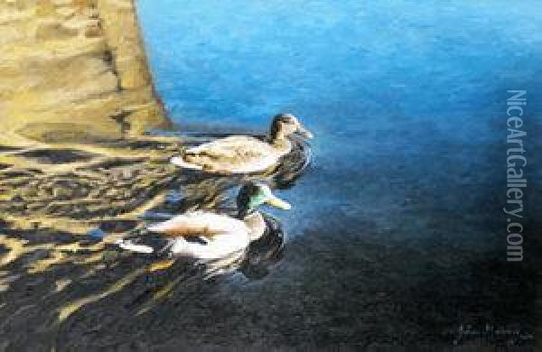 Two Ducks Oil Painting - John Murphy