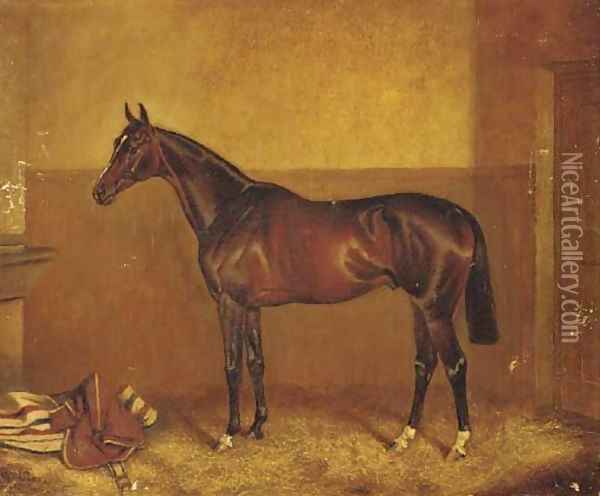 General Peace, a dark brown racehorse in a stable Oil Painting - John Alfred Wheeler