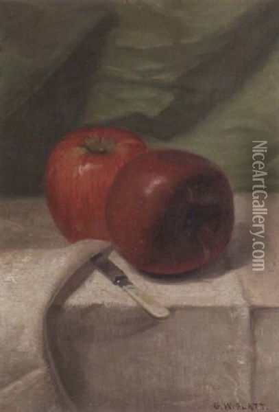 A Still Life With Apples Oil Painting - George W. Platt
