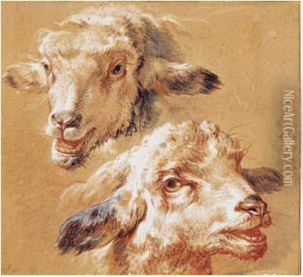 Deux Etudes De Tetes De Moutons Oil Painting - Jean-Baptiste Huet I