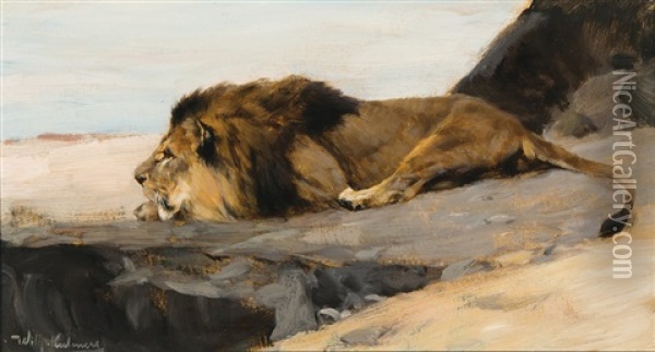Lion On The Lurk Oil Painting - Wilhelm Friedrich Kuhnert