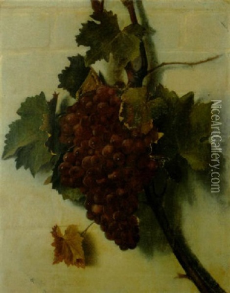 A Still Life Of Grapes On The Vine Oil Painting - Samuel Marsden Brookes