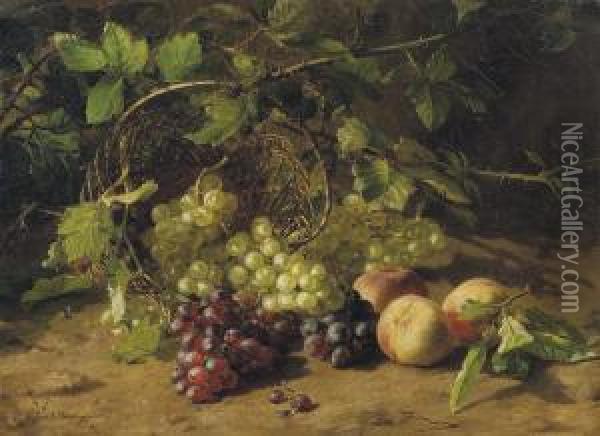 Grapes And Peaches On A Forest Floor Oil Painting - Geraldine Jacoba Van De Sande Bakhuyzen