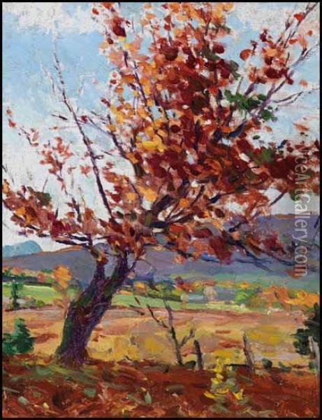Tree In Autumn Oil Painting - Farquhar Mcgillivr. Knowles