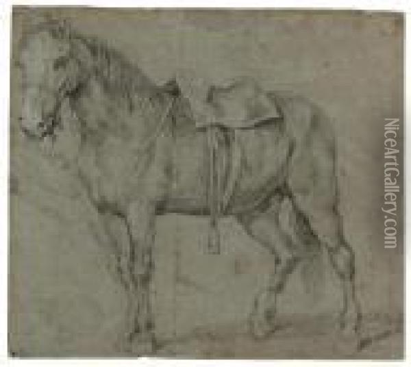 Study Of A Horse Oil Painting - Pieter van Bloemen