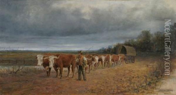 Bullock Team (12 Bullocks) Oil Painting - James Swinton Diston
