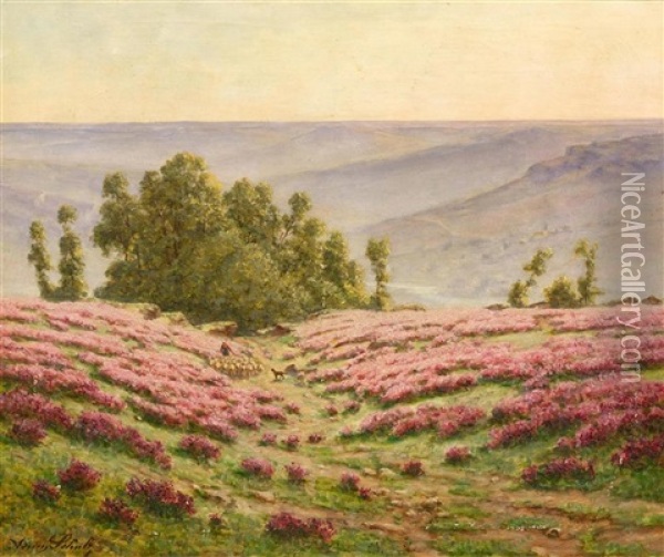 A Field In Flower With Shepherdss In The Vallee De La Creuse Oil Painting - Adrien Schulz