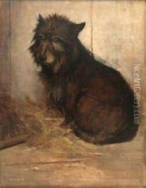 Study Of A Scots Terrier Oil Painting - Samuel Fulton