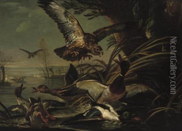 A Bird Of Prey Attacking Ducks On A River Oil Painting - Jan Fyt