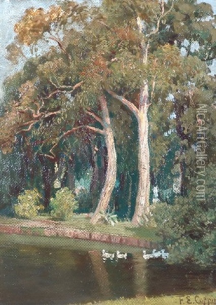 Lago En El Bosque Oil Painting - Fausto Eliseo Coppini