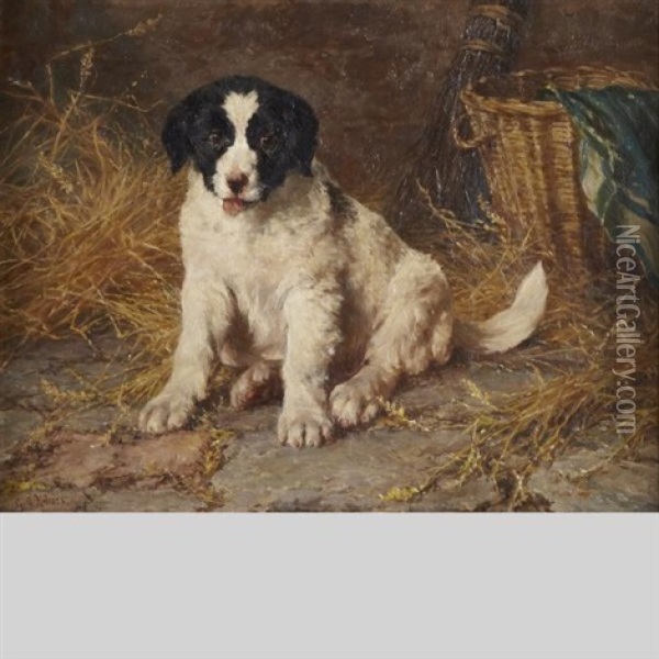 Spaniel Puppy In A Barn Oil Painting - George Augustus Holmes