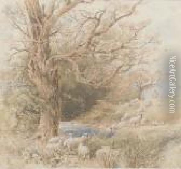 A Shepherd With His Flock Beside A Woodland Pond Oil Painting - Myles Birket Foster