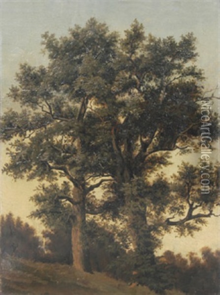 Zwei Grose Laubbaume An Einem Hang Oil Painting - Friedrich Philip Reinhold
