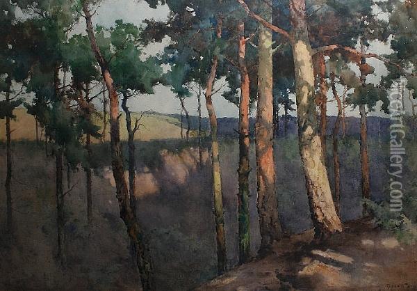 The Edge Of The Wood - Branksome Chine, Bournemouth Oil Painting - Reginald T. Jones