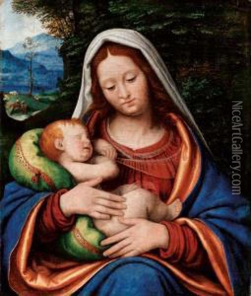 Madonna Col Bambino Oil Painting - Andrea Solario