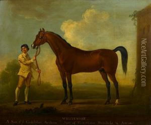 Portrait Of Whitenose With A Groom Oil Painting - James Seymour And Thomas Spencer