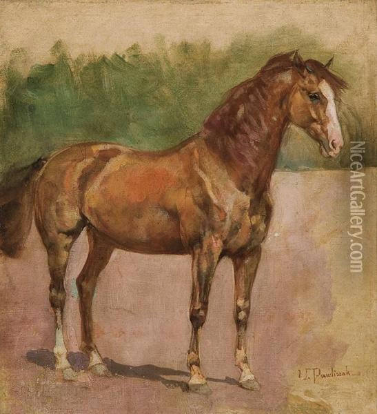 Horse Study Oil Painting - Waclaw Pawliszak