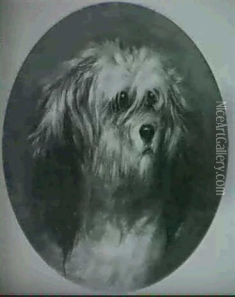 Head Of A Terrier Oil Painting - George Armfield
