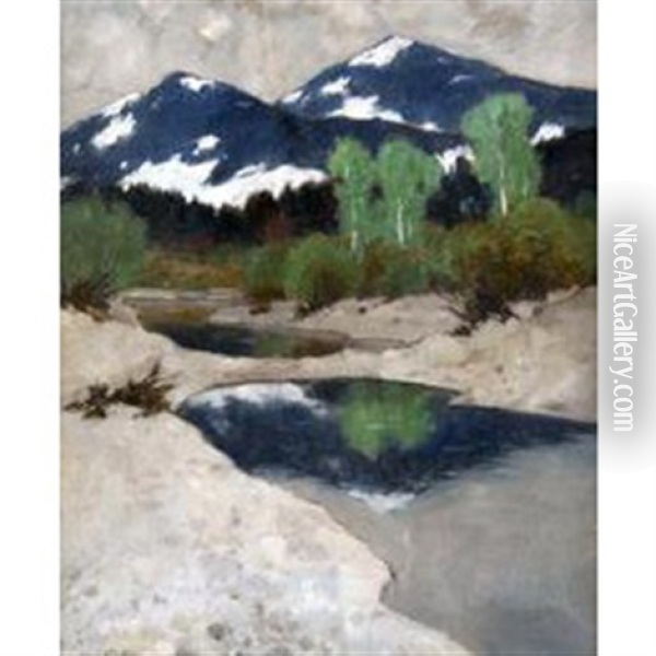 Vorfruhling Im Gebirge Oil Painting - Carl Kuestner