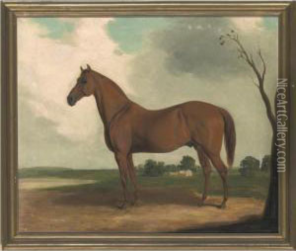 A Chestnut Horse Oil Painting - Edward Troye