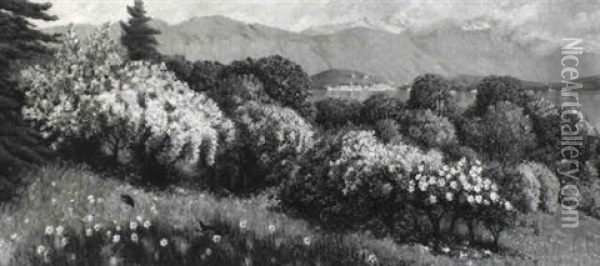 Landschaft Am Gardasee Oil Painting - Franz Leo Ruben