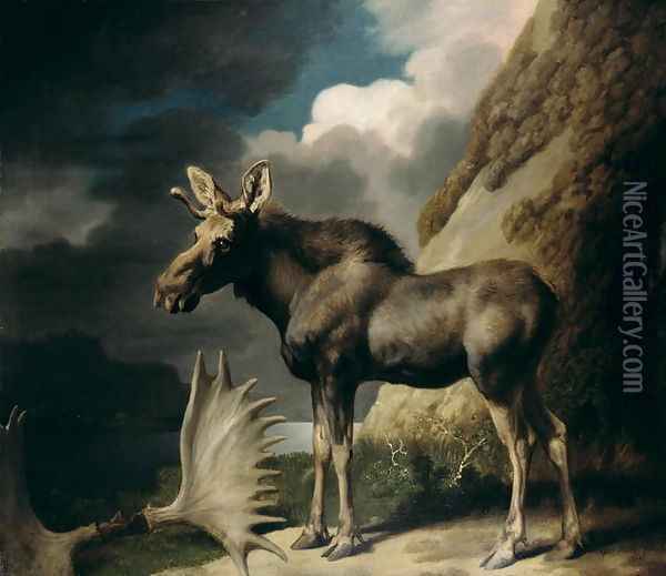 Moose, 1770 Oil Painting - George Stubbs