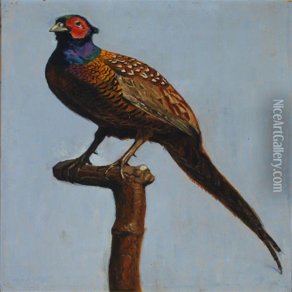 Pheasant. Oil Painting - Peter Marius Hansen