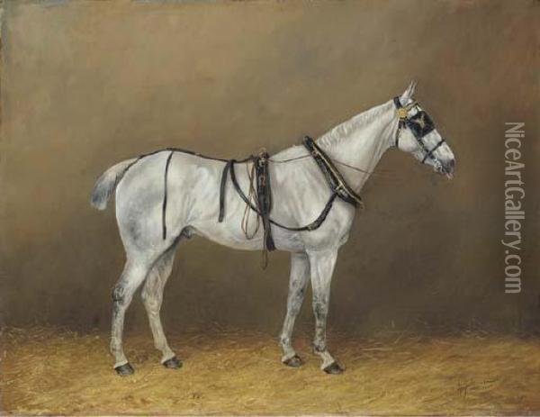Simon, A Grey Horse In Harness In A Stable Oil Painting - Henry Frederick Lucas-Lucas